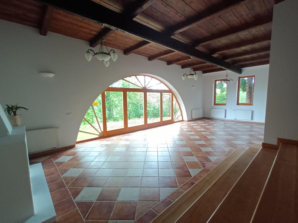 Willa Wojciechowo Zakopane Dış mekan fotoğraf