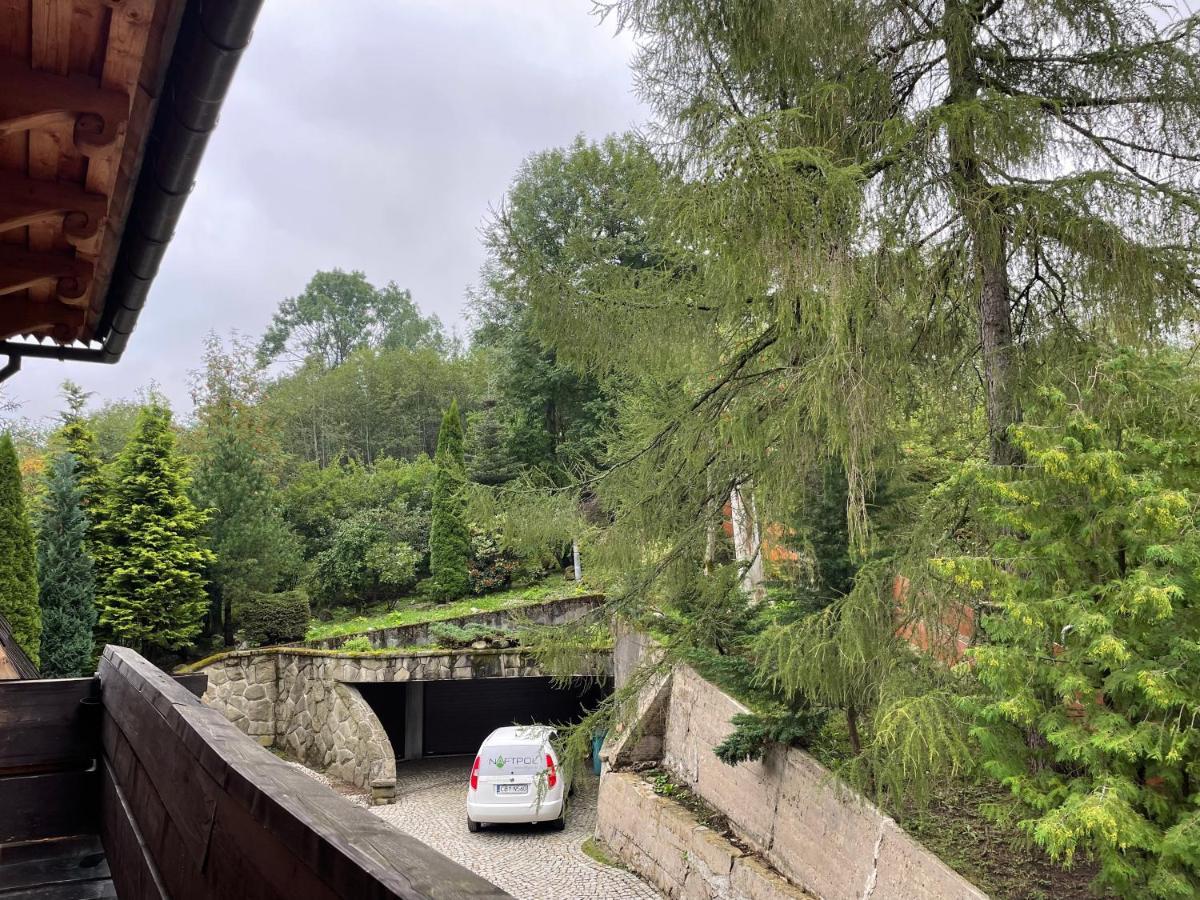 Willa Wojciechowo Zakopane Dış mekan fotoğraf