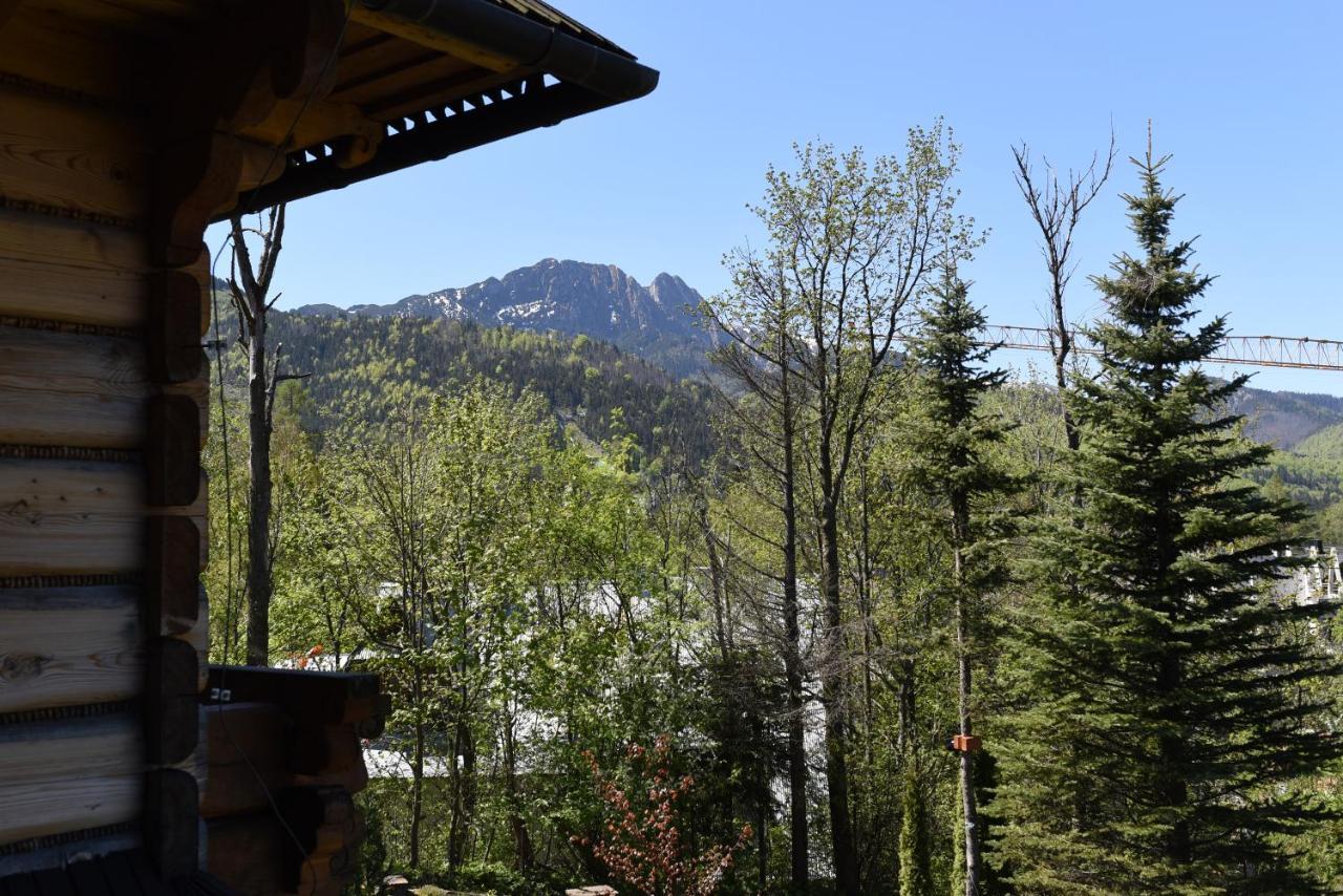 Willa Wojciechowo Zakopane Dış mekan fotoğraf