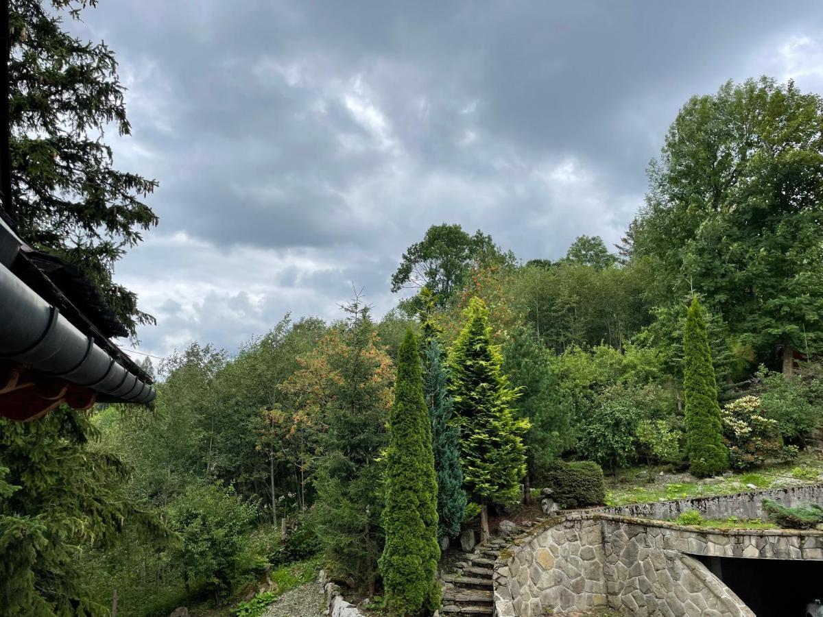 Willa Wojciechowo Zakopane Dış mekan fotoğraf